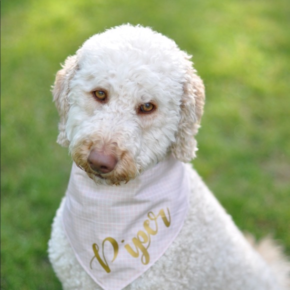 Meet your Posher, Elizabeth - Picture 1 of 1